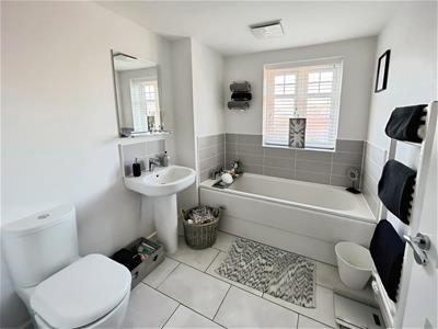 Picture 9